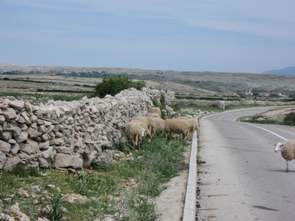 Hotel Tony Pag Town Εξωτερικό φωτογραφία